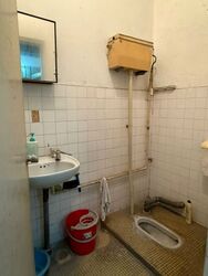 Hong Lim Complex (D1), Shop House #575779501